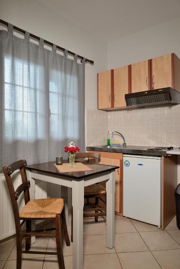 Artemis Apartments Konitsa Bagian luar foto