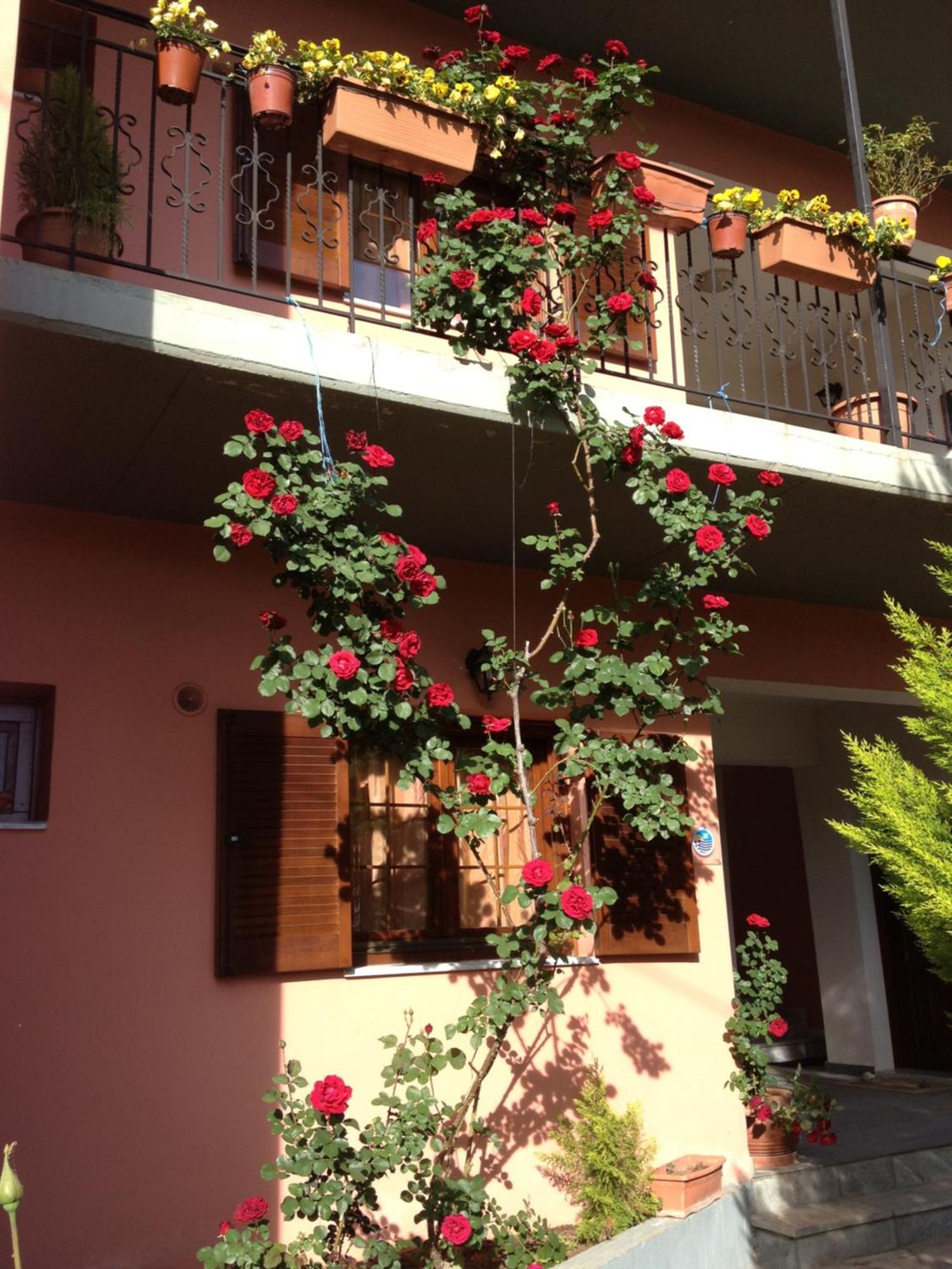 Artemis Apartments Konitsa Bagian luar foto