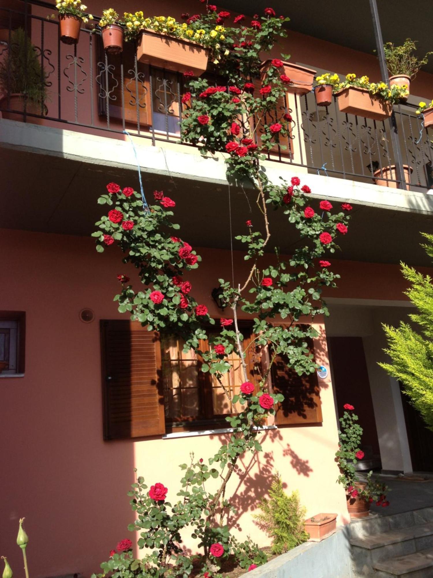 Artemis Apartments Konitsa Bagian luar foto