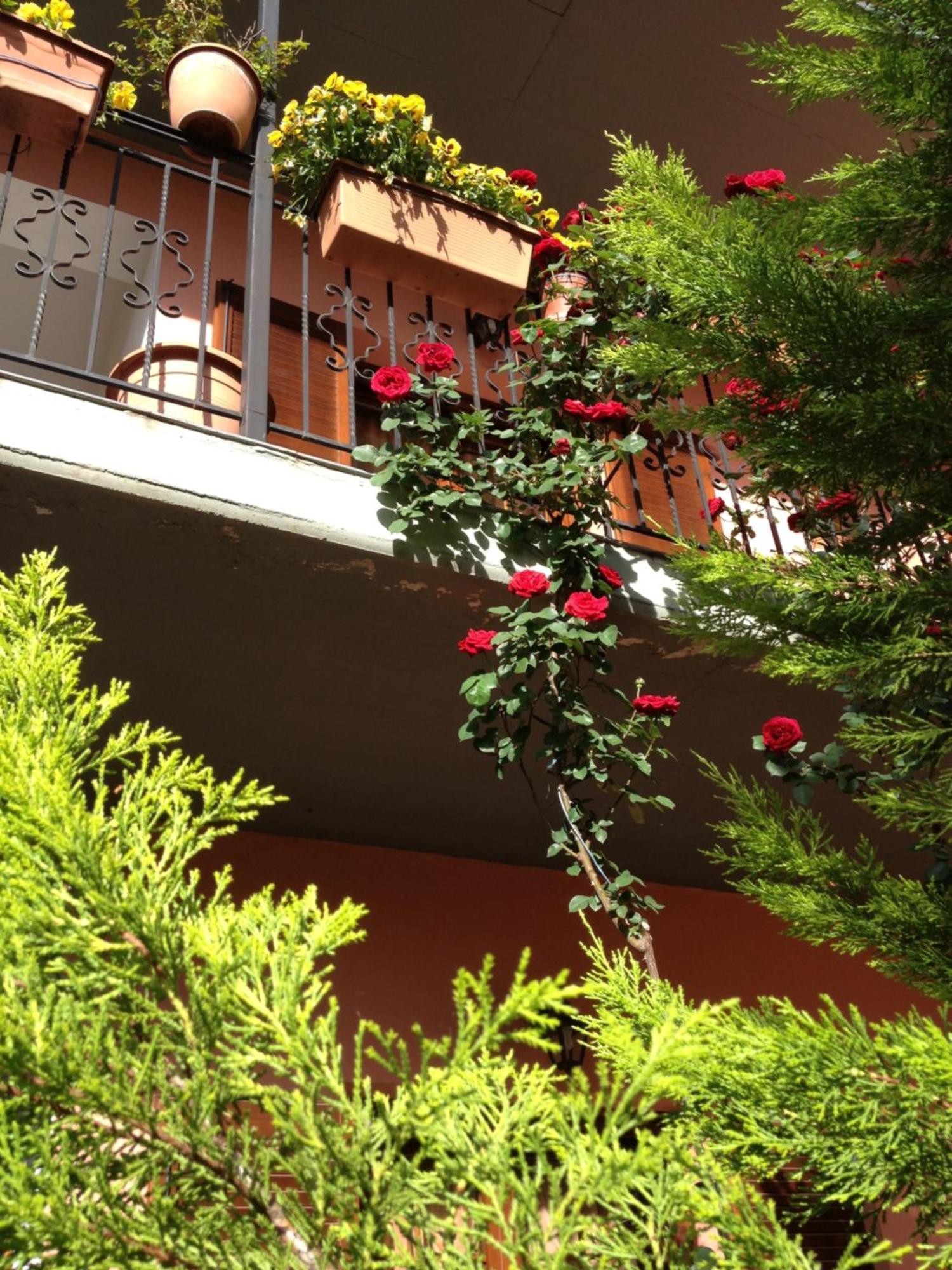 Artemis Apartments Konitsa Bagian luar foto