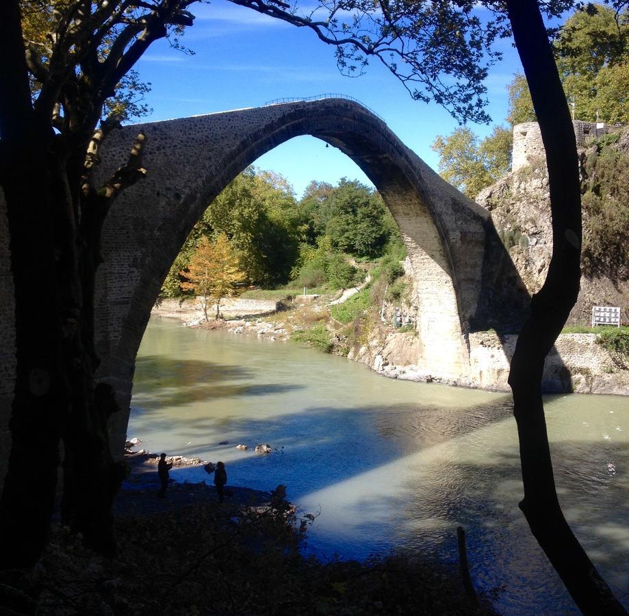 Artemis Apartments Konitsa Bagian luar foto
