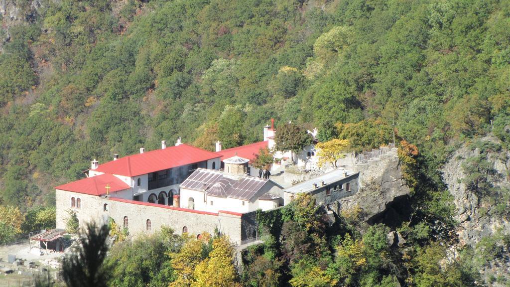 Artemis Apartments Konitsa Bagian luar foto